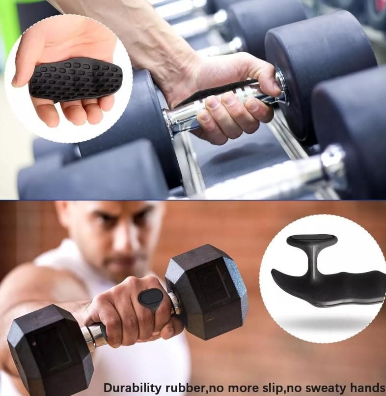 Gym and Fitness